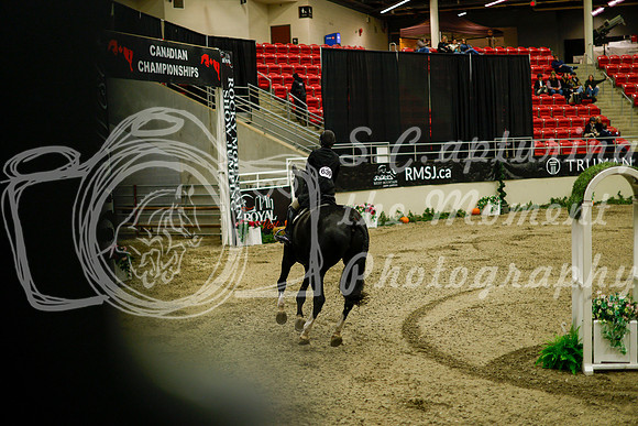 2025 - Haylee - Royal West - Saturday October 18th - 09066