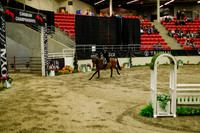2025 - Haylee - Royal West - Saturday October 18th - 08773