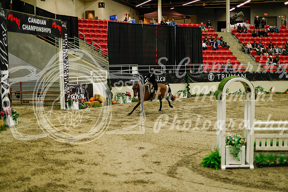 2025 - Haylee - Royal West - Saturday October 18th - 08773