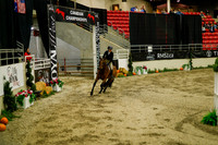 2025 - Haylee - Royal West - Saturday October 18th - 08774