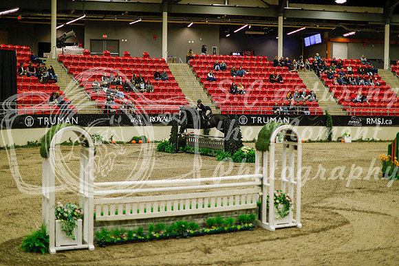 2025 - Haylee - Royal West - Saturday October 18th - 09069
