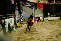 2025 - Haylee - Royal West - Saturday October 18th - 08777