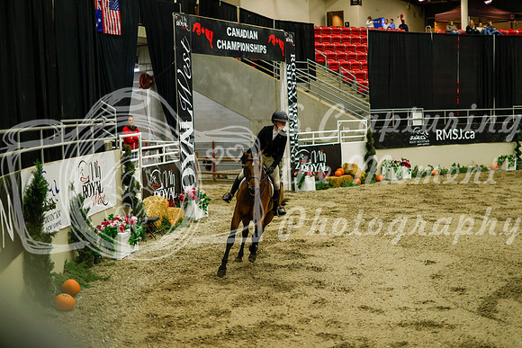 2025 - Haylee - Royal West - Saturday October 18th - 08777