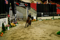 2025 - Haylee - Royal West - Saturday October 18th - 08775