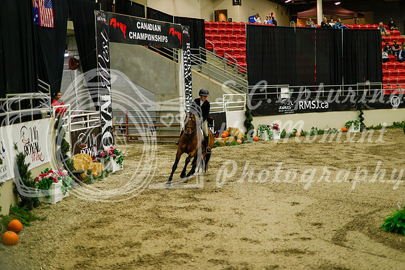 2025 - Haylee - Royal West - Saturday October 18th - 08775