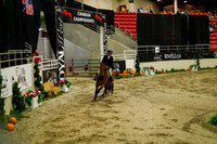 2025 - Haylee - Royal West - Saturday October 18th - 08776