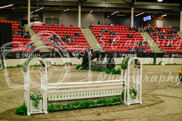 2025 - Haylee - Royal West - Saturday October 18th - 09071