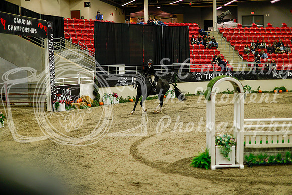 2025 - Haylee - Royal West - Saturday October 18th - 09072