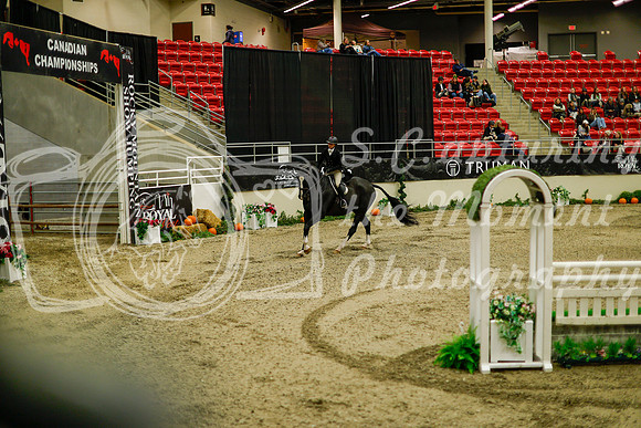 2025 - Haylee - Royal West - Saturday October 18th - 09073
