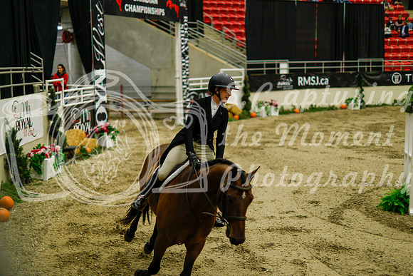 2025 - Haylee - Royal West - Saturday October 18th - 08779