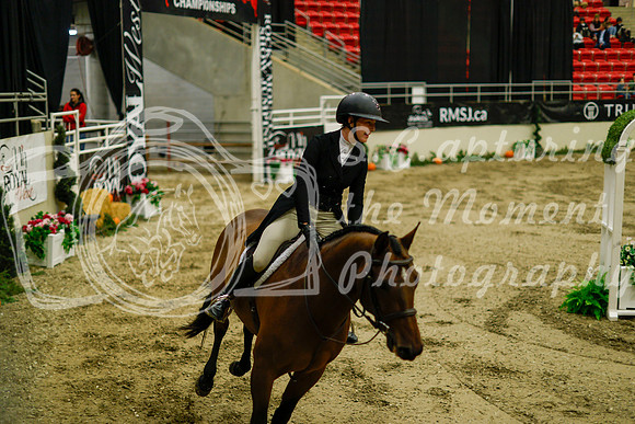 2025 - Haylee - Royal West - Saturday October 18th - 08780