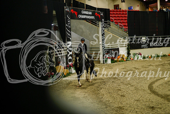 2025 - Haylee - Royal West - Saturday October 18th - 09075