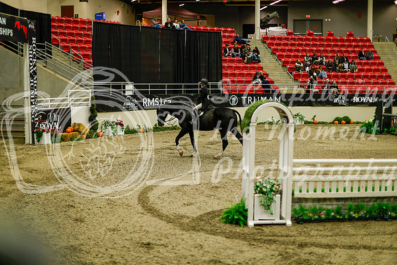 2025 - Haylee - Royal West - Saturday October 18th - 09076