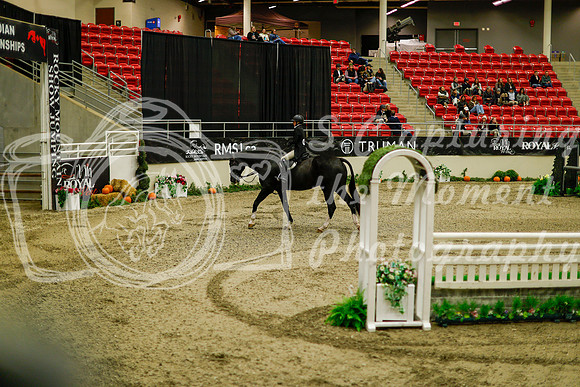 2025 - Haylee - Royal West - Saturday October 18th - 09077