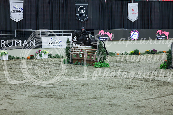 2025 - Shea - Royal West - Saturday October 18th - 07773