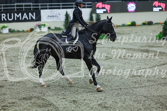 2025 - Shea - Royal West - Saturday October 18th - 07780