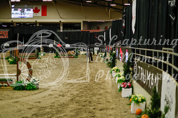 2025 - Haylee - Royal West - Saturday October 18th - 08569
