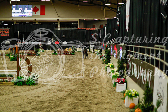 2025 - Haylee - Royal West - Saturday October 18th - 08570