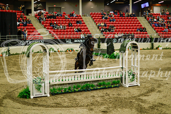 2025 - Haylee - Royal West - Saturday October 18th - 08574