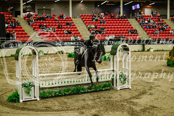 2025 - Haylee - Royal West - Saturday October 18th - 08577