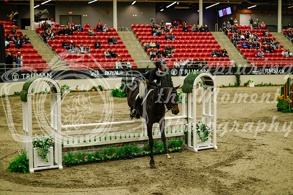 2025 - Haylee - Royal West - Saturday October 18th - 08578
