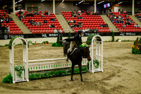 2025 - Haylee - Royal West - Saturday October 18th - 08579