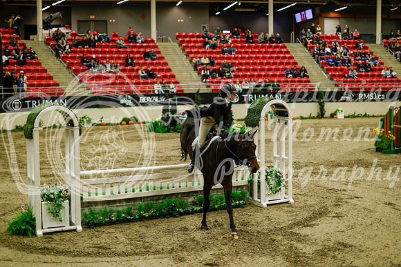 2025 - Haylee - Royal West - Saturday October 18th - 08579
