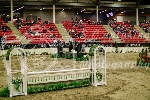 2025 - Haylee - Royal West - Saturday October 18th - 08580