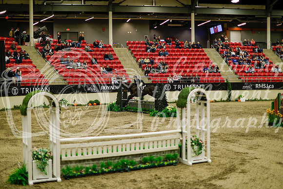 2025 - Haylee - Royal West - Saturday October 18th - 08582