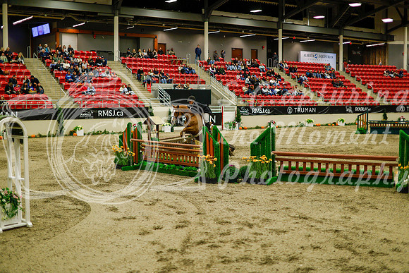 2025 - Haylee - Royal West - Saturday October 18th - 08806
