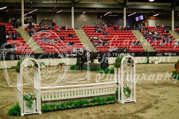 2025 - Haylee - Royal West - Saturday October 18th - 08583