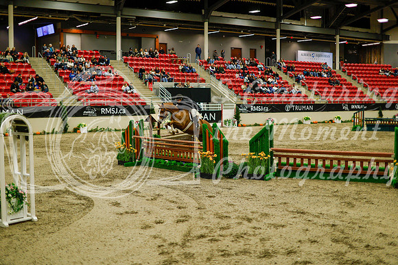 2025 - Haylee - Royal West - Saturday October 18th - 08807