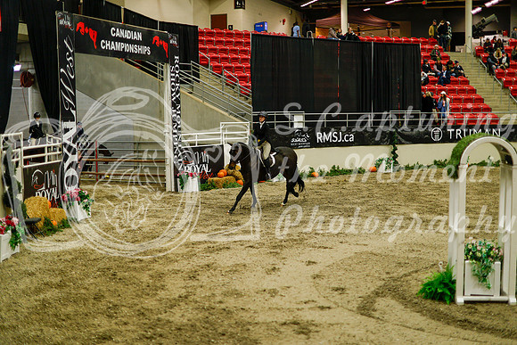 2025 - Haylee - Royal West - Saturday October 18th - 08584