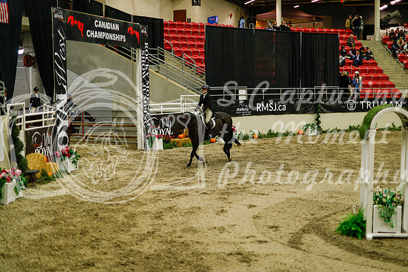 2025 - Haylee - Royal West - Saturday October 18th - 08585