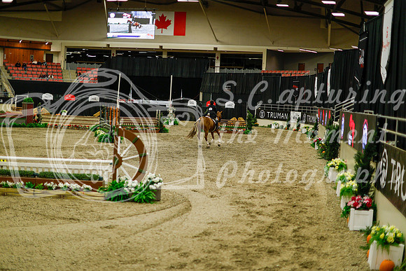 2025 - Haylee - Royal West - Saturday October 18th - 08811