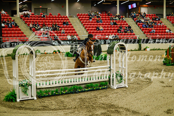 2025 - Haylee - Royal West - Saturday October 18th - 08812