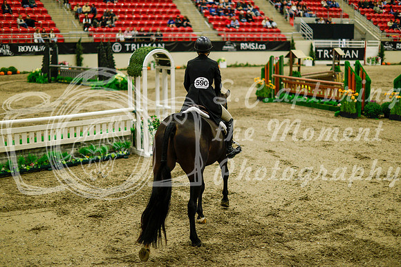 2025 - Haylee - Royal West - Saturday October 18th - 08590