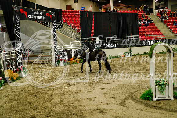 2025 - Haylee - Royal West - Saturday October 18th - 08591