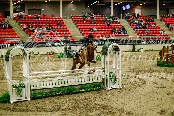 2025 - Haylee - Royal West - Saturday October 18th - 08814