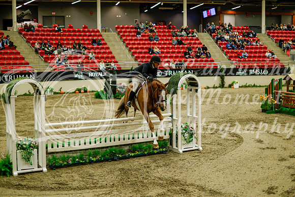 2025 - Haylee - Royal West - Saturday October 18th - 08815