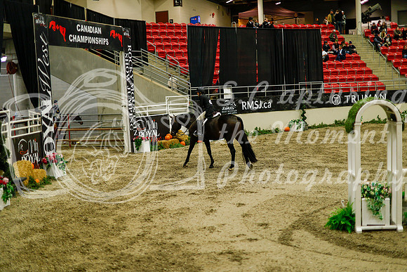 2025 - Haylee - Royal West - Saturday October 18th - 08592