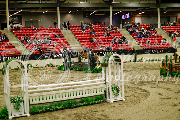 2025 - Haylee - Royal West - Saturday October 18th - 08816