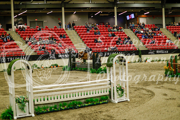 2025 - Haylee - Royal West - Saturday October 18th - 08817