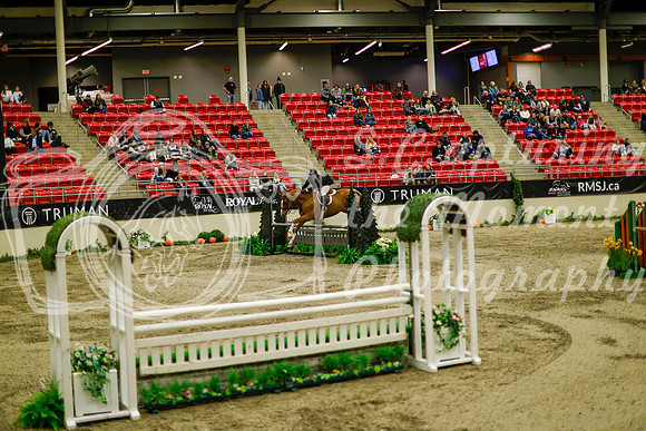 2025 - Haylee - Royal West - Saturday October 18th - 08818