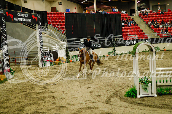 2025 - Haylee - Royal West - Saturday October 18th - 08819