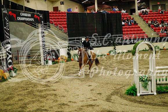 2025 - Haylee - Royal West - Saturday October 18th - 08820