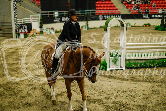 2025 - Haylee - Royal West - Saturday October 18th - 08823