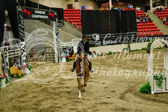 2025 - Haylee - Royal West - Saturday October 18th - 08822