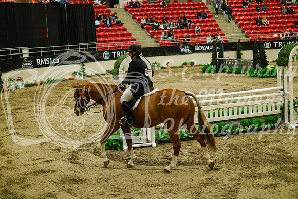 2025 - Haylee - Royal West - Saturday October 18th - 08826