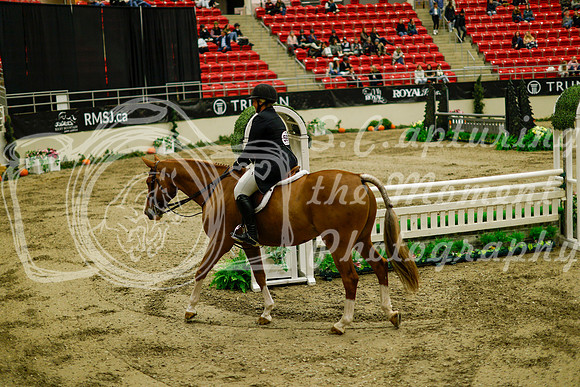 2025 - Haylee - Royal West - Saturday October 18th - 08827